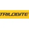 TRILOBITE