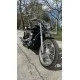 Kawasaki VN900 CUSTOM