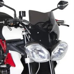 СПОРТНА СЛЮДА ЗА МОТОР AEROSPORT за Triumph Speed Triple / R