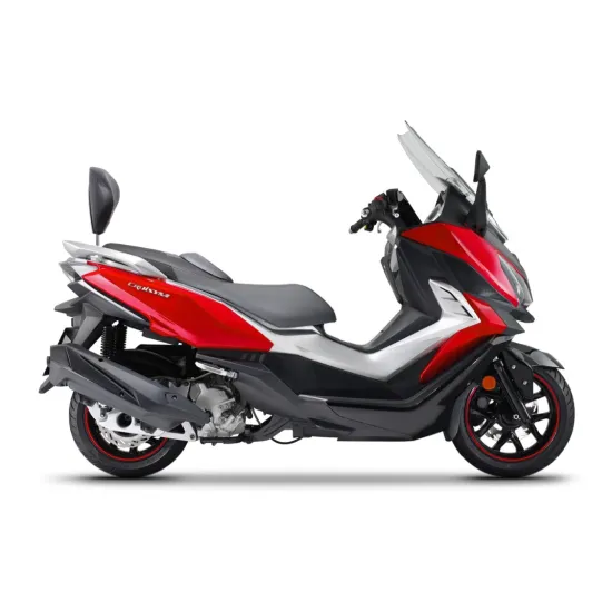 SHAD монтажен комплект за облегалка SYM Cruisym 300i