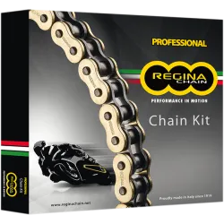 Комплект верига и пиньони REGINA DUCATI MON 1100/ S 09-11