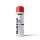 CLEANER POLISH - 0.250L